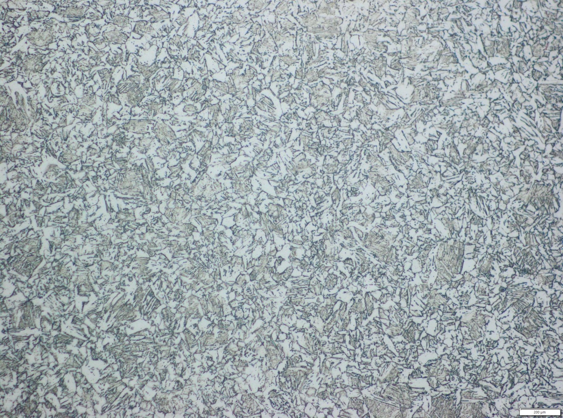 Thermal Degradation Analysis: Fire Damaged Steel Photomicrograph of a steel microstructure showing the effects of thermal degradation and subsequent water quenching.