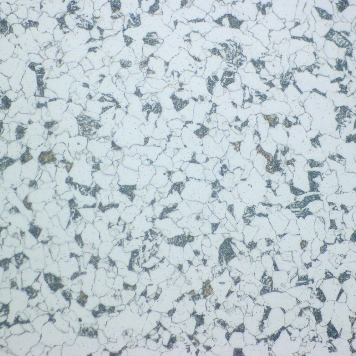 Photomicrograph of a typical ferrite and pearlite microstructure in a structural steel grade supplied in the normalized condition.